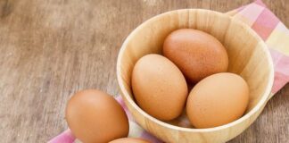 يعني ايه بيض اورجانيك ؟