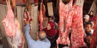 دراسة: المصريون قللوا استهلاكهم للحوم بنسبة 85%.. و84% توقفوا عن سداد الأقساط والديون