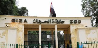 وزارة الزراعة: حديقة الحيوان ستظل تحت ولاية الوزراة.. ولا مساس بالأشجار والمباني التاريخية