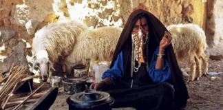 نصف بدوية نصف مصرية.. تنقل واستقرار