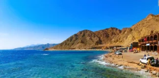 نصف بدوية نصف مصرية.. أول عمل وأولى الخبرات
