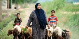 رأي | عفوا أيها القانون! أنا امرأة ريفية منسية رأي | عفوا أيها القانون! أنا امرأة ريفية منسية (الصورة: وكالات)