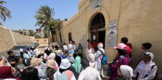 "طالع إزالة".. مصريون إلى الشوارع بعيدًا عن السياسة فعالية طالع إزالة لمبادرة رسم مصر