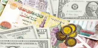 هل تخفيض قيمة الجنيه يحل الأزمة؟.. كتالوج صندوق النقد لا يتغير الدولار والجنيه المصري