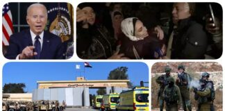 نشرة "فكر تاني".. الإفراج عن 39 فلسطينيًا و13 إسرائيليًا في أول أيام الهدنة ومصر تكشف ما ستقدمه لغزة ورسالة من الاحتلال لسكان القطاع وبايدن: الصفقة الإنسانية مجرد بداية نشرة فكر تاني