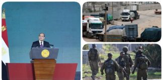 نشرة "فكر تاني".. كلمة السيسي في فعالية التضامن مع فلسطين و"الحرة": مصر ستضاعف المساعدات الإنسانية لغزة والقاهرة تتسلم قائمتي التبادل بين حماس وإسرائيل نشرة فكر تاني