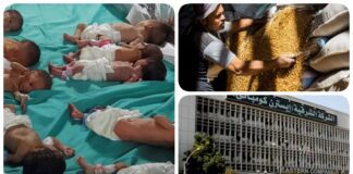 نشرة "فكر تاني".. مصر تتسلم 63 ألف طن قمح روماني مستورد و"جلوبال" تتنازل عن حقها في أصول غير مستغلة بصفقة "الشرقية للدخان" والهلال الأحمر الفلسطيني يؤكد صعوبة نقل "أطفال الشفاء الخدج" إلى القاهرة نشرة فكر تاني