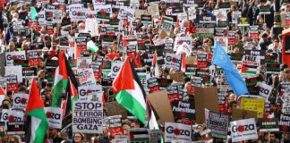 هل نحن بصدد حراك عالمي جديد؟ مظاهرات دعم القضية الفلسطينية في أوروبا