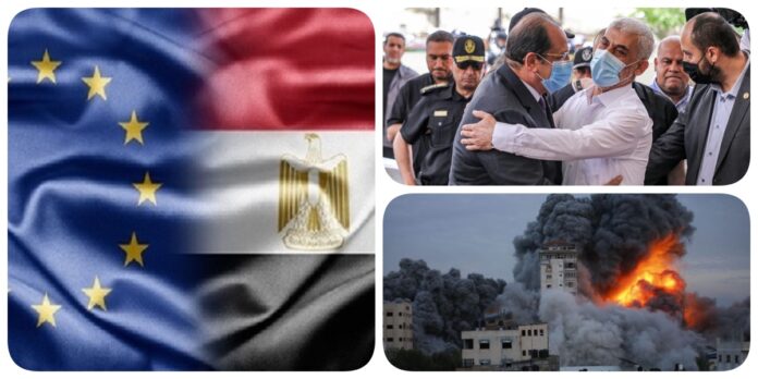 نشرة فكر تاني