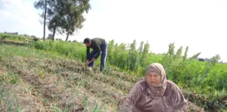 وضع يتأزم.. كيف تعيش النساء المعيلات؟ النساء المعيلات وهن نحو 12 مليون امرأة معيلة