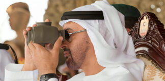 كيف تضر الإمارات بالمصالح المصرية؟ محمد بن زايد