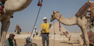 مصر ولبنان والأردن وحرب غزة.. الوقوف في مرمي اللكمات الاقتصادية