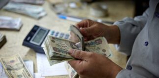 هل تستطيع الحكومة إجبار القطاع الخاص على تنفيذ الحد الأدنى للأجور؟