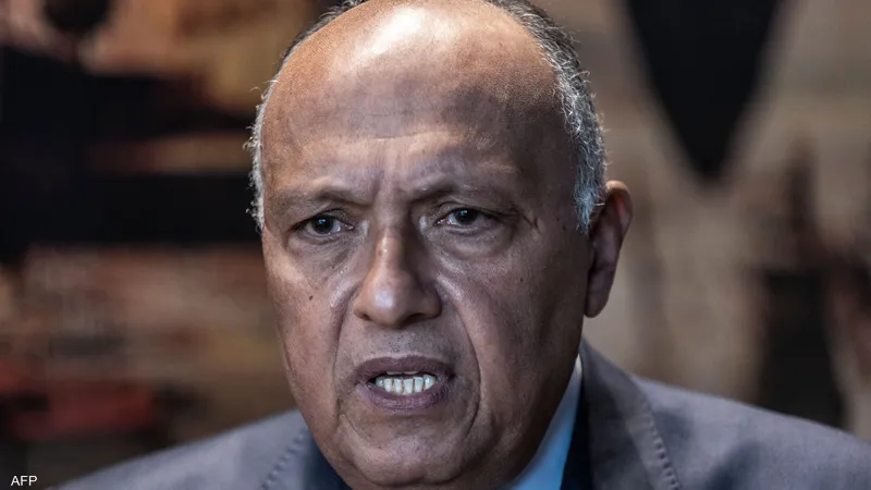 سامح شكري