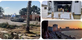 نشرة "فكر تاني": بيان من الداخلية بعد مقتل رجل أعمال أجنبي بالإسكندرية.. الأزهر يدين الاقتحام الإسرائيلي لمعبر رفح.. واشنطن تعلن اكتمال بناء الرصيف البحري تمهيدًا لنقله قبالة غزة