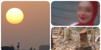 نشرة "فكر تاني": مبادرة "الوطنية لنساء مصر" لمواجهة "قطع الأشجار".. مصر على موعد مع "الحرارة الملعونة".. ضحية جديدة قتلها شقيقها في طنطا
