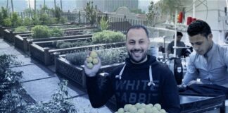 بعيدًا عن الدولة.. شباب أداروا اقتصادًا ناجحًا