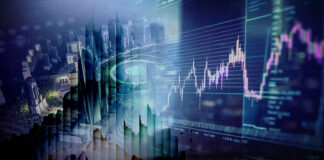 نشرة "من الشارع" الأسبوعية: تراجع أسعار الدواجن وارتفاع اللحوم والسيارات والأرز.. 100% زيادة برسوم بعض المدارس الخاصة