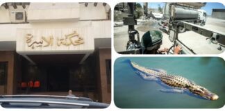 نشرة "فكر تاني": حكم قضائي يسمح بزواج فتاة دون موافقة أبيها في قنا.. تمساح في النيل يثير فزعًا بمصر.. "رويترز": مصر وإسرائيل تبحثان نظام مراقبة على الحدود مع غزة