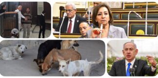 نشرة "فكر تاني": النائبة مها عبد الناصر تقدم طلب إحاطة للحكومة بشأن أزمة الكهرباء.. عبد المنعم أبو الفتوح يشكو سوء أوضاعه في زنزانته الانفرادية.. ضبط مسجل خطر شنق كلبًا في الغربية.. نتنياهو: سيطرتنا على الحدود بين مصر وغزة شرط للتوصل لاتفاق