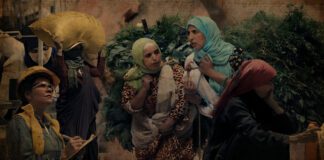 لماذا لا تحظى النساء في مصر ببيئات عمل آمنة؟