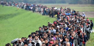 اللجوء والملاذ الأخير تتجاهل أوروبا ربما عمدا أن اللجوء ليس الأزمة بل هو نتيجة للحروب والصراعات التي تسببها الصراعات السياسية