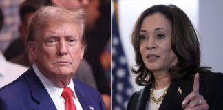 نظرة على الانتخابات الأمريكية هاريس وترامب