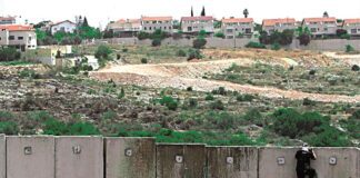 شايلوك في مروج الجليل.. تزييف التاريخ الفلسطيني في الأدب الأمريكي