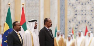 الدور الإماراتي الخطير في السودان الإمارات أشادت مرارًا بحميدتي في اعتراف ضمني بالدعم الإماراتي لقوات الدعم السريع (وكالات)