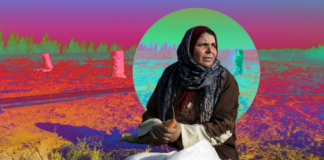 في يومها العالمي.. المرأة الريفية بين التغيرات المناخية والتمييز المجتمعي رغم بساطتها، فإن المرأة الريفية تمثل نموذجًا حيًا للعمل الحر الذي يتطلع إليه الكثير من الشباب اليوم