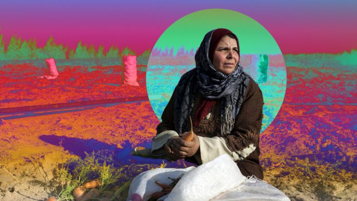 رغم بساطتها، فإن المرأة الريفية تمثل نموذجًا حيًا للعمل الحر الذي يتطلع إليه الكثير من الشباب اليوم