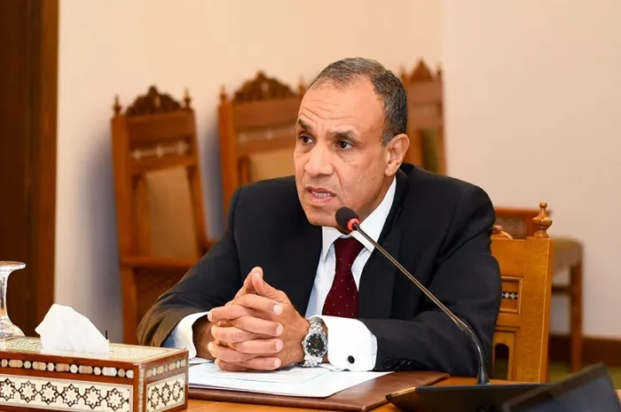 بدر عبد العاطي وزير الخارجية (وكالات)