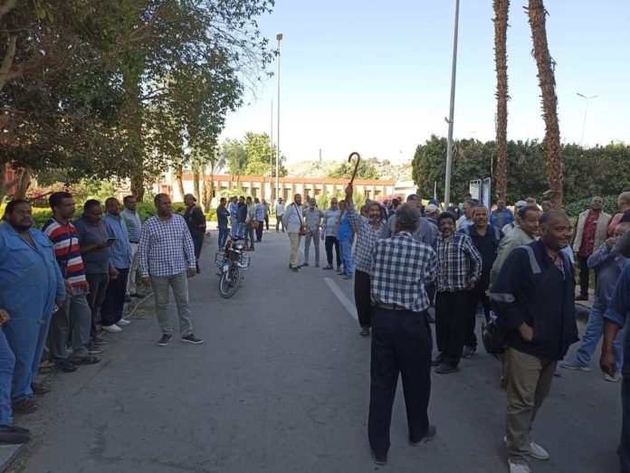 المئات من عمال شركة كيما أسوان لإنتاج الأسمدة النيتروجينية، يحتجون على تخفيض الأرباح - خاص فكر تاني