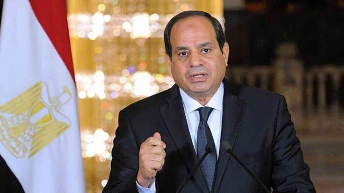 الرئيس عبد الفتاح السيسي (وكالات)