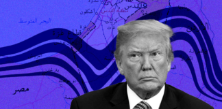 تصريحات ترامب عن تهجير الفلسطينيين تُوحد المصريين الرئيس الأمريكي دونالد ترامب