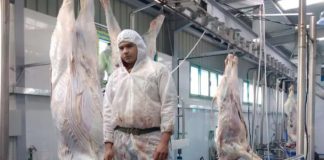 اللحوم في انتظار "خصخصة"