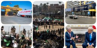نشرة "نص الليل": تراجع معدل البطالة في مصر إلى 6.4%.. 30 ألف متطوع من الهلال الأحمر المصري لدعم غزة.. هآرتس: الخلاف بين ترامب وحلفائه بمصر والأردن لصالح حماس.. مصدر مصري يكشف عن موقف غير مسبوق لحماس بشأن إدارة القطاع.. تطورات اليوم الـ 29 من اتفاق غزة والوضع بالضفة نشرة نص الليل
