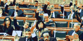 ورقة بحثية.. كيف مارس نواب 2015 الدبلوماسية البرلمانية؟