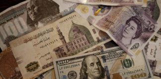 نشرة من الشارع: ارتفاع الاحتياطي.. تراجع الكتاكيت.. حسم قرض الصندوق.. تعديل حكومي على "اتحاد الشاغلين"