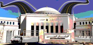 لماذا تُجرى الانتخابات في مصر؟ (1)