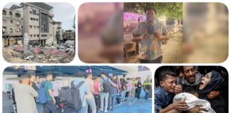 نشرة "نص الليل": مدير مؤسسة حرية الفكر يستعيد جواز سفره.. عودة 71 مصريًا من ليبيا تنفيذًا لتوجيهات رئاسية.. طبيبة في غزة تتسلم أطفالها التسعة أشلاءً.. الاحتلال يُصعد غاراته ويستهدف مستشفى العودة