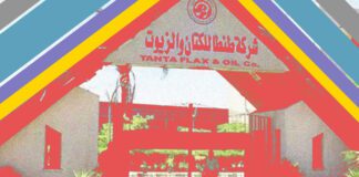 "طنطا للكتان".. لما كان إضرابنا حي (الجزء الأول)