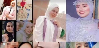 العمال في أسبوع| مصر تتشح بالحزن على فتيات العنب.. والمواطن "ثمنه" 500 ألف حادثة مصرع فتيات الطريق الإقليمي ـ وكالات