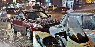 ثلوجٌ لا تذوب.. نساء الإسكندرية صمدن أمام العاصفة
