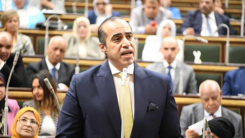 المستشار محمود فوزي وزير الشئون النيابية والقانونية والتواصل السياسي (وكالات)