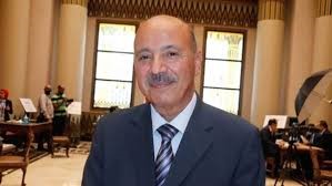 محمد طه عليوة