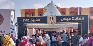 فرز أصوات انتخابات مجلس الشيوخ 2025 يثير جدلًا