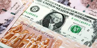 نشرة من الشارع: توقعات بوصول الدولار لـ 40 جنيهًا.. تصدير الكهرباء للخارج.. أزمة تصدير الزيوت.. تراجع الإنجاب