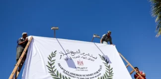 قمة شرم الشيخ للسلام في غزة.. تغطية مفتوحة وأسئلة مطروحة قمة شرم الشيخ (وكالات)