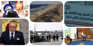 نشرة "نص الليل": "أسطول الصمود المصري" يجهز مساعدات جديدة الأحد.. نقابة الصحفيين تؤبن صنع الله إبراهيم.. السيسي للعناني: فوزك باليونسكو إنجاز تاريخي يعكس مكانة مصر.. مئات آلاف الفلسطينيين يعودون إلى غزة وخان يونس.. البرغوثي وسعدات خارج صفقة تبادل الأسرى.. ملك المغرب يستجيب بخطاب لاحتجاجات جيل Z نشرة نص الليل